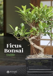 Ficus Bonsai Guide