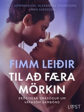 Fimm leiðir til að færa mörkin Erótískar smásögur um vafasöm sambönd