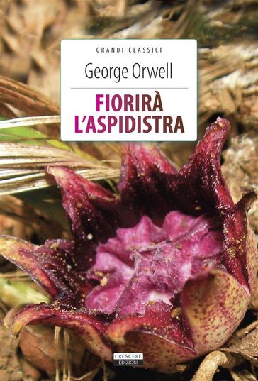 Fiorirà l'aspidistra - Orwell George - Alberto Buchi