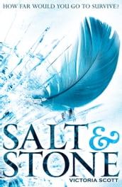 Fire & Flood 2: Salt & Stone