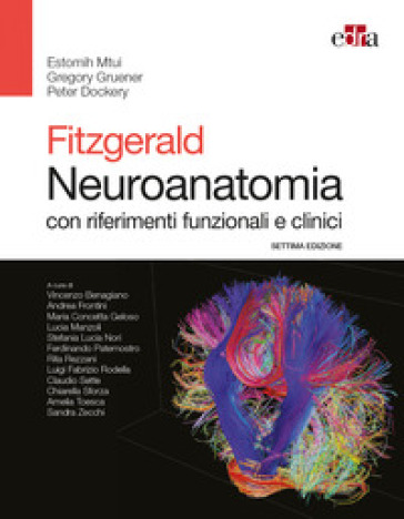 Fitzgerald. Neuroanatomia con riferimenti funzionali e clinici - Estomih Mtui - Gregory Gruener - Peter Dockery