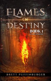 Flames of Destiny Book 1: Flames Igniting