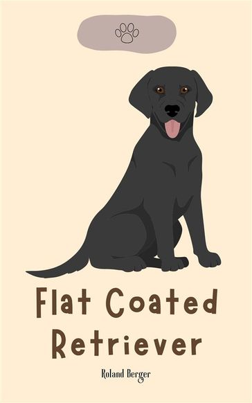 Flat Coated Retriever - Roland Berger