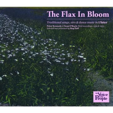 Flax in bloom - AA.VV. Artisti Vari