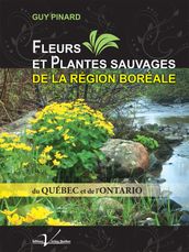 Fleurs et plantes sauvages de la région boréale du Québec et de l Ontario