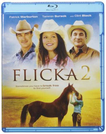 Flicka 2 (DVD) - Michael Damian