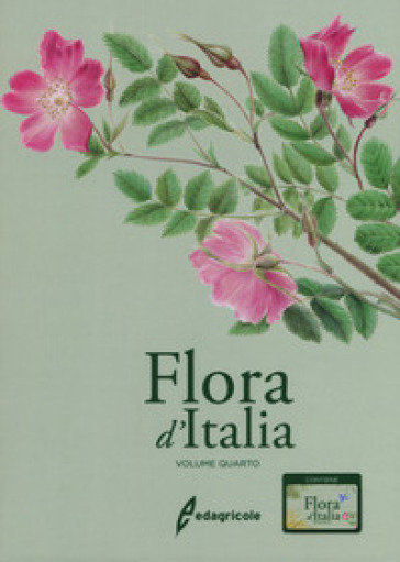 Flora d'Italia. Con USB Flash Drive. 4. - Sandro Pignatti