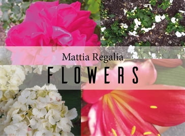 Flowers - Mattia Regalia