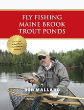 Fly Fishing Maine Brook Trout Ponds