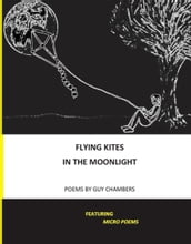 Flying Kites in the Moonlight