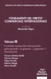 Fondamenti del diritto commerciale internazionale. 2: Parte generale: le garanzie, i pagamenti, i finanziamenti