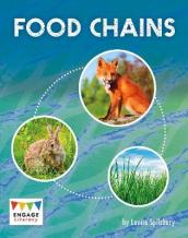 Food Chains