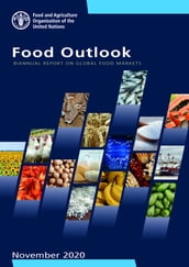 Food Outlook: Biannual Report on Global Food Markets. November 2020