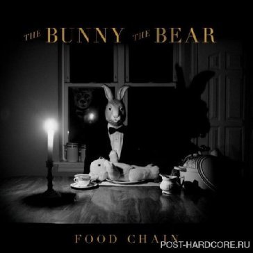 Food chain - THE BUNNY THE BEAR