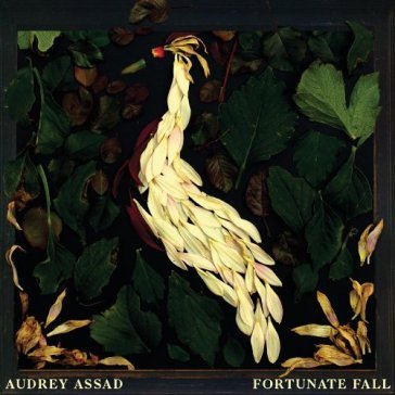 Fortunate fall - AUDREY ASSAD