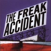 Freak accident
