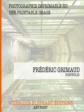 Frédéric Grimaud