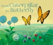 From Caterpillar to Butterfly