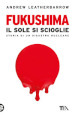 Fukushima. Il sole si scioglie