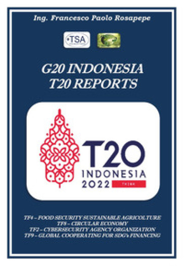 G20 Indonesia T20 reports città future - Francesco Paolo Rosapepe
