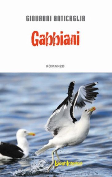 Gabbiani - Giovanni Anticaglia