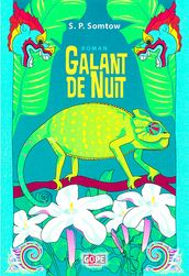 Galant de nuit