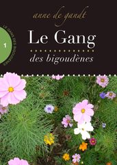 Le Gang des bigoudènes (Saison 1)