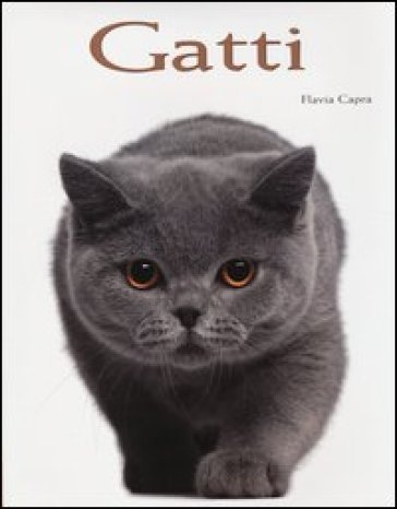 Gatti. Ediz. illustrata - Flavia Capra