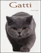 Gatti. Ediz. illustrata