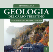 Geologia del Carso triestino. 5: Fenomeni di carsismo epigeo