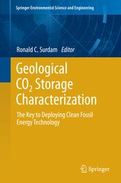 Geological CO2 Storage Characterization