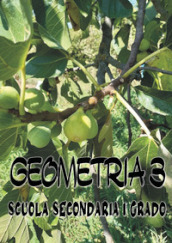 Geometria 3. Scuola secondaria di I grado