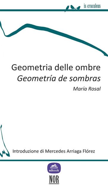 Geometria delle ombre - María Rosal