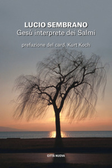 Gesù interprete dei Salmi. Fedeltà alla tradizione e novità di senso - Lucio Sembrano