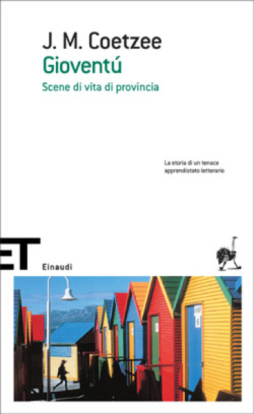 Gioventù. Scene di vita di provincia - J. M. Coetzee