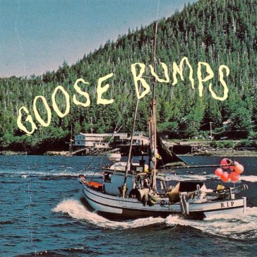 Goose bumps - dark blue & powder blue - BOYSCOTT