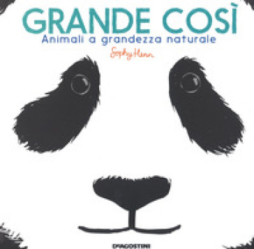 Grande così. Animali a grandezza naturale. Ediz. a colori - Sphie Henn