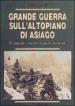 Grande guerra sull altopiano di Asiago. Il cannone sconvolse la quiete dei monti