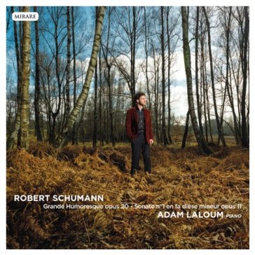 Grande humoresque - Robert Schumann
