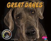 Great Danes