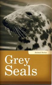 Grey Seals