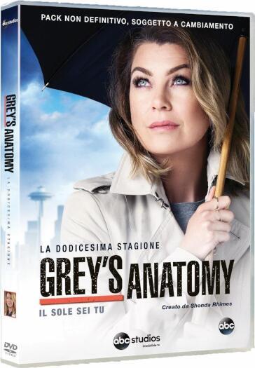 Grey's Anatomy - Stagione 12 (6 Dvd)