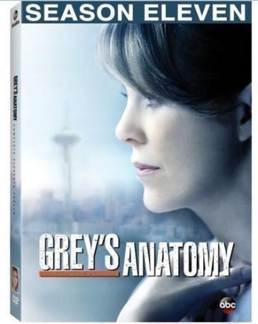 Grey's anatomy:season 11 - GREY