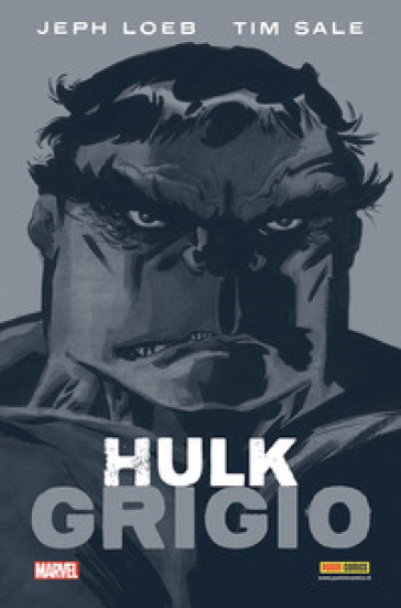 Grigio. Hulk - Jeph Loeb - Tim Sale