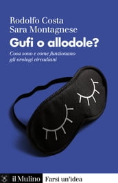 Gufi o allodole?