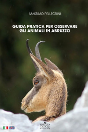 Guida pratica per osservare gli animali in Abruzzo. Ediz. italiana e inglese - Massimo Pellegrini