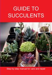 Guide To Succulents