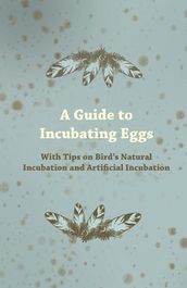 A Guide to Incubating Eggs - With Tips on Bird s Natural Incubation and Artificial Incubation