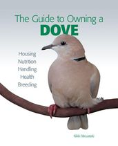 Guide to Owning a Dove