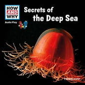 HOW AND WHY Audio Play Secrets Of The Deep Sea